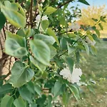 Tatil Evi De Lendrevie Proissans