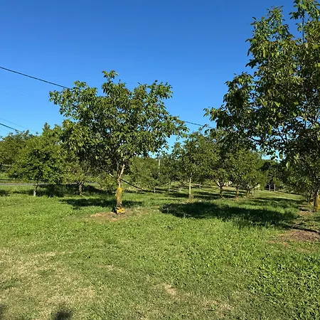 펜션 De Lendrevie *